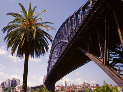 TIVO Think Outside the Box